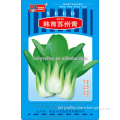 Green Leafy Vegetable Seeds For Sale-Suzhou Greens